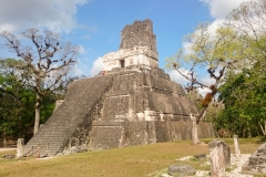 Tikal-14