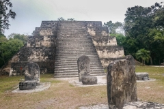 Tikal-3